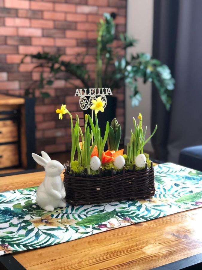 Apartament Loft Apartment Bielsko-Biala Luaran gambar